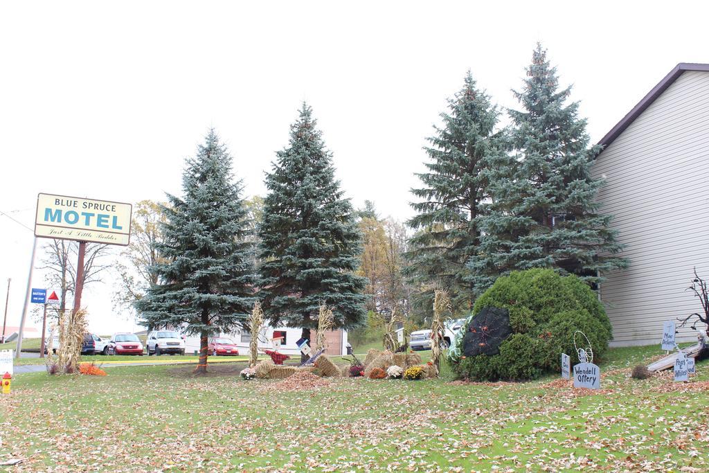 Blue Spruce Motel Масена Екстериор снимка